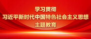 日老逼逼学习贯彻习近平新时代中国特色社会主义思想主题教育_fororder_ad-371X160(2)